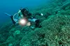 Cenderawasih Bay Papua Indonesia Diving 2