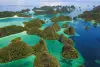 Papua Explorers Raja Ampat 16