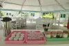 Scuba Republic Base Camp 14