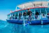 Bajak liveaboard 9