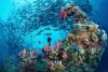 Chuuk scuba diving 3