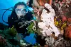 Puerto Galera Sabang Diving Philippines