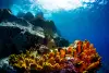 St Lucia Scuba Diving 9