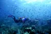 St Vincent Grenadines Scuba Diving 8