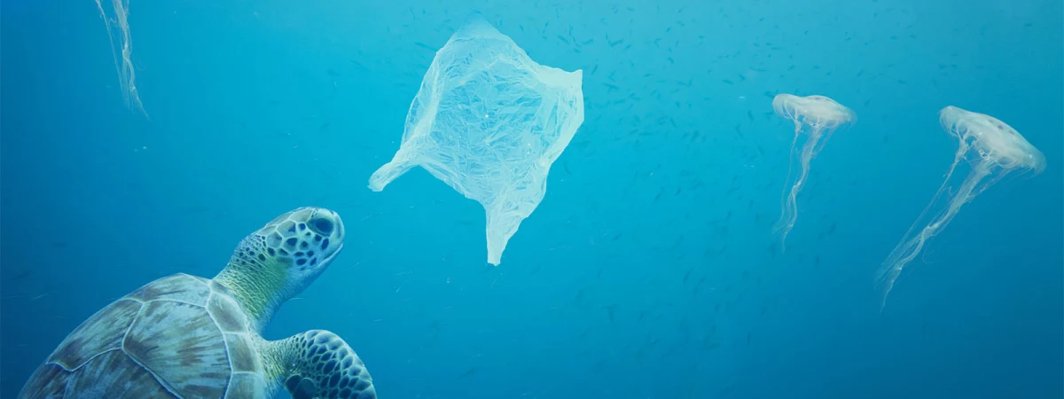 Are plastics and microplastics in the Ocean on the increase?
