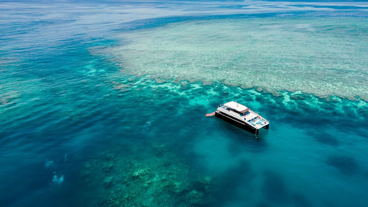 Cairns and Port Douglas