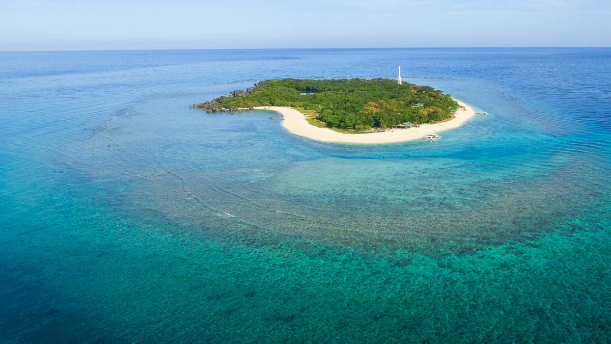 Apo Reef and Occidental Mindoro