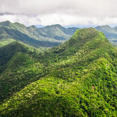 Trek breathtaking Belizean landscapes, Cockscomb Basin Image