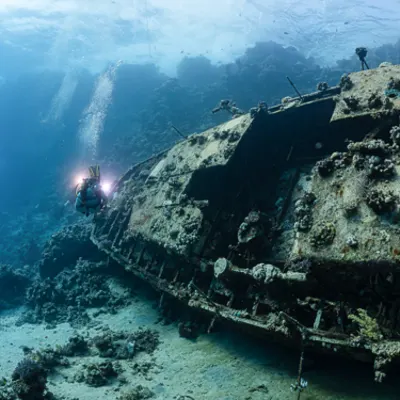 Far-Flung Adventures in the Deep South Image