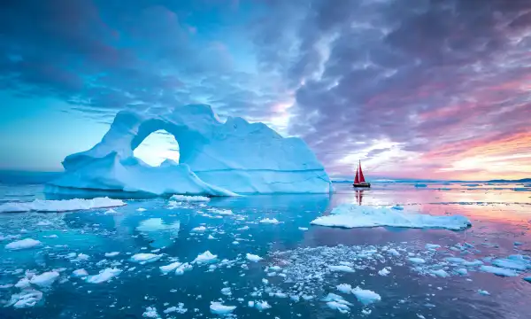 Arctic