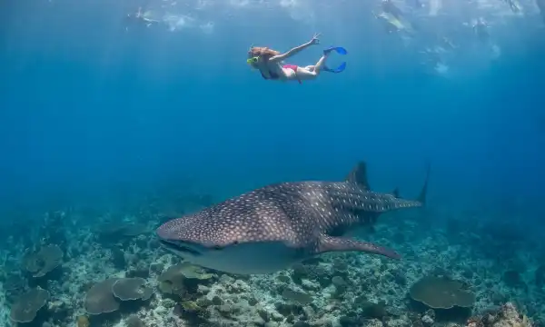 South Ari Atoll
