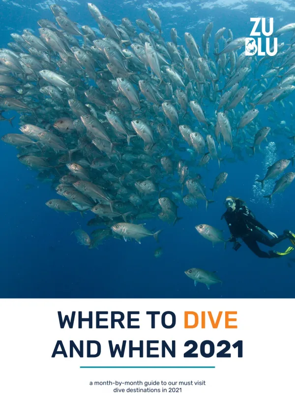 2021-dive-guide