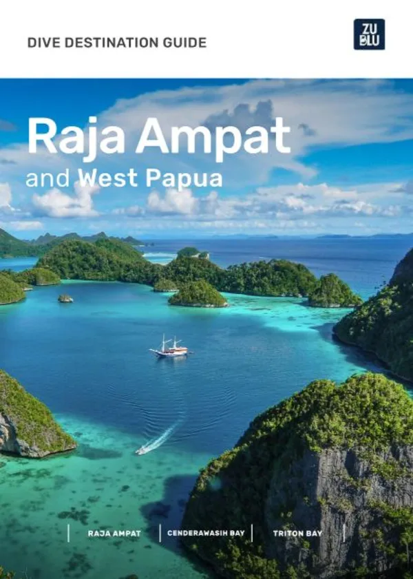 raja-ampat-dive-guide