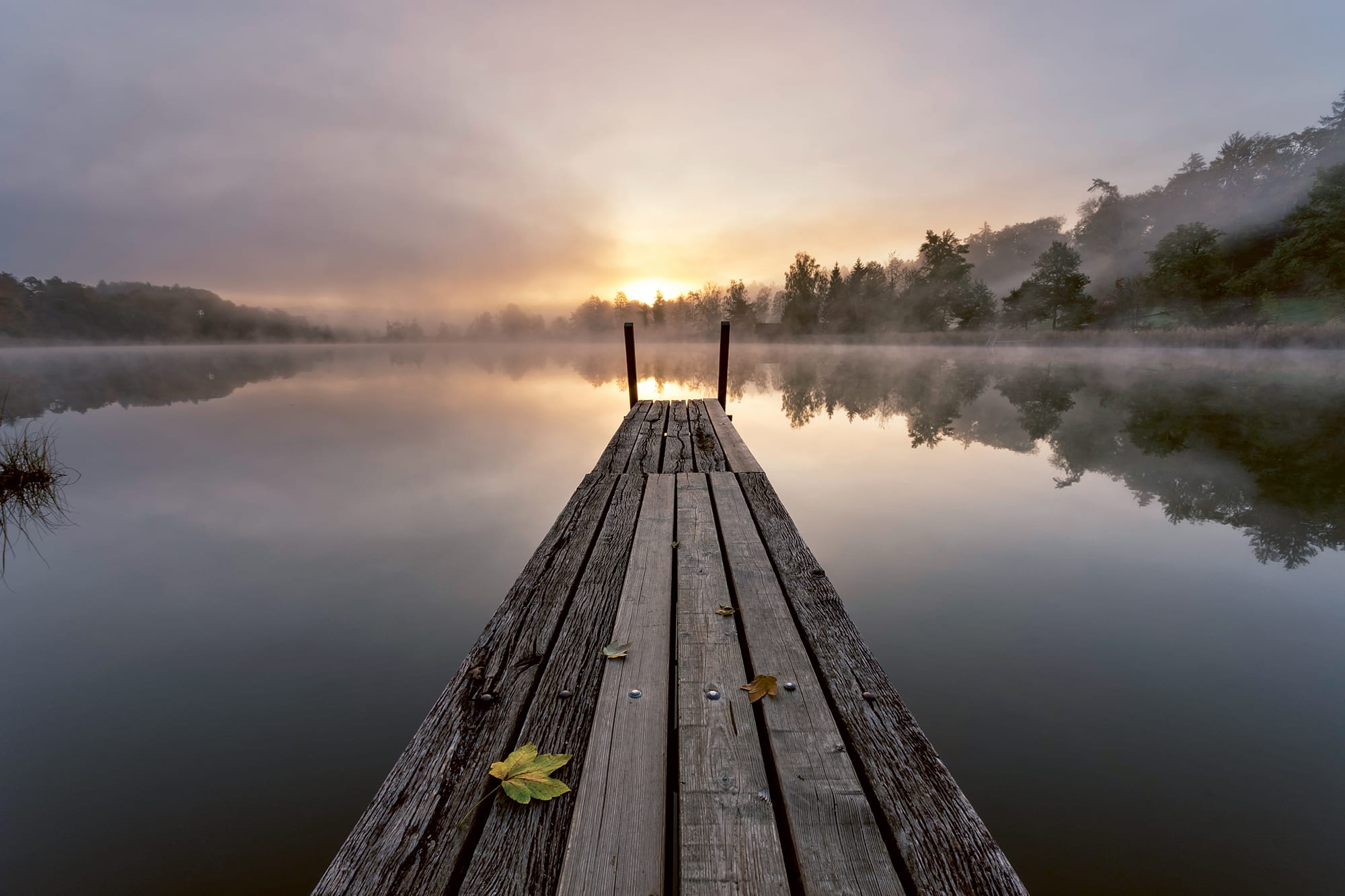 Naturparadies Husemer See