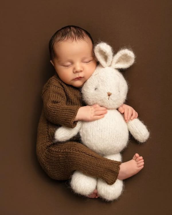 A newborn baby, solid brown with bunny toy — AI image prompt example