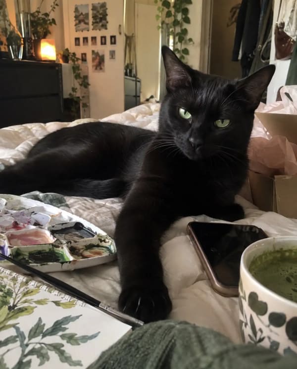 HRwogl0WAAEN5Sv — AI image prompt example