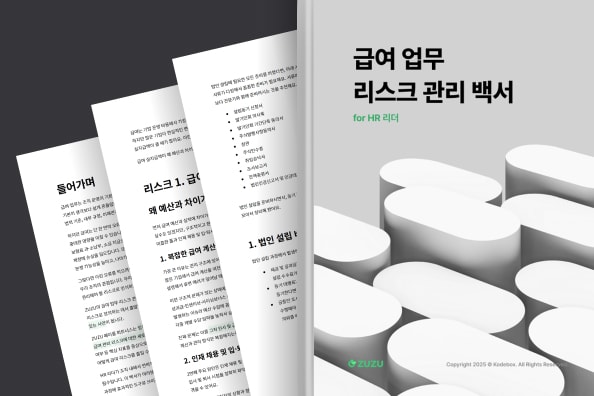 특히 급여 증감률, 개인별 급여 변동률, 법정 기준 위반  화면