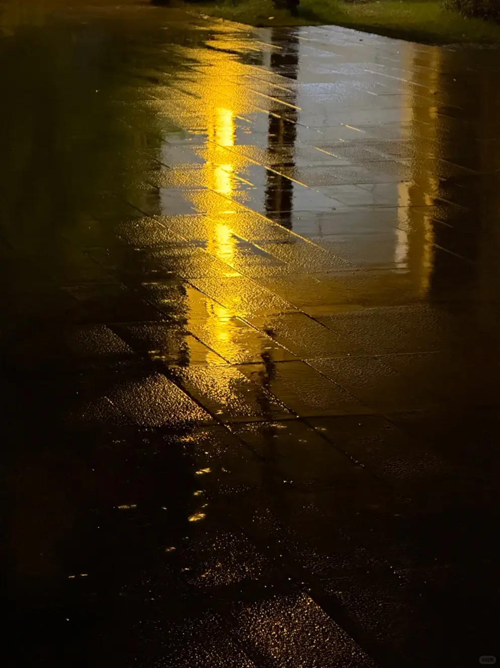 Golden light reflected on paving stones