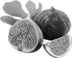 Commonly consumed food