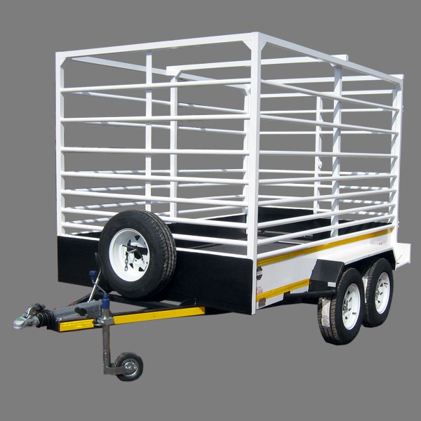 2026 . Cattle 3m
