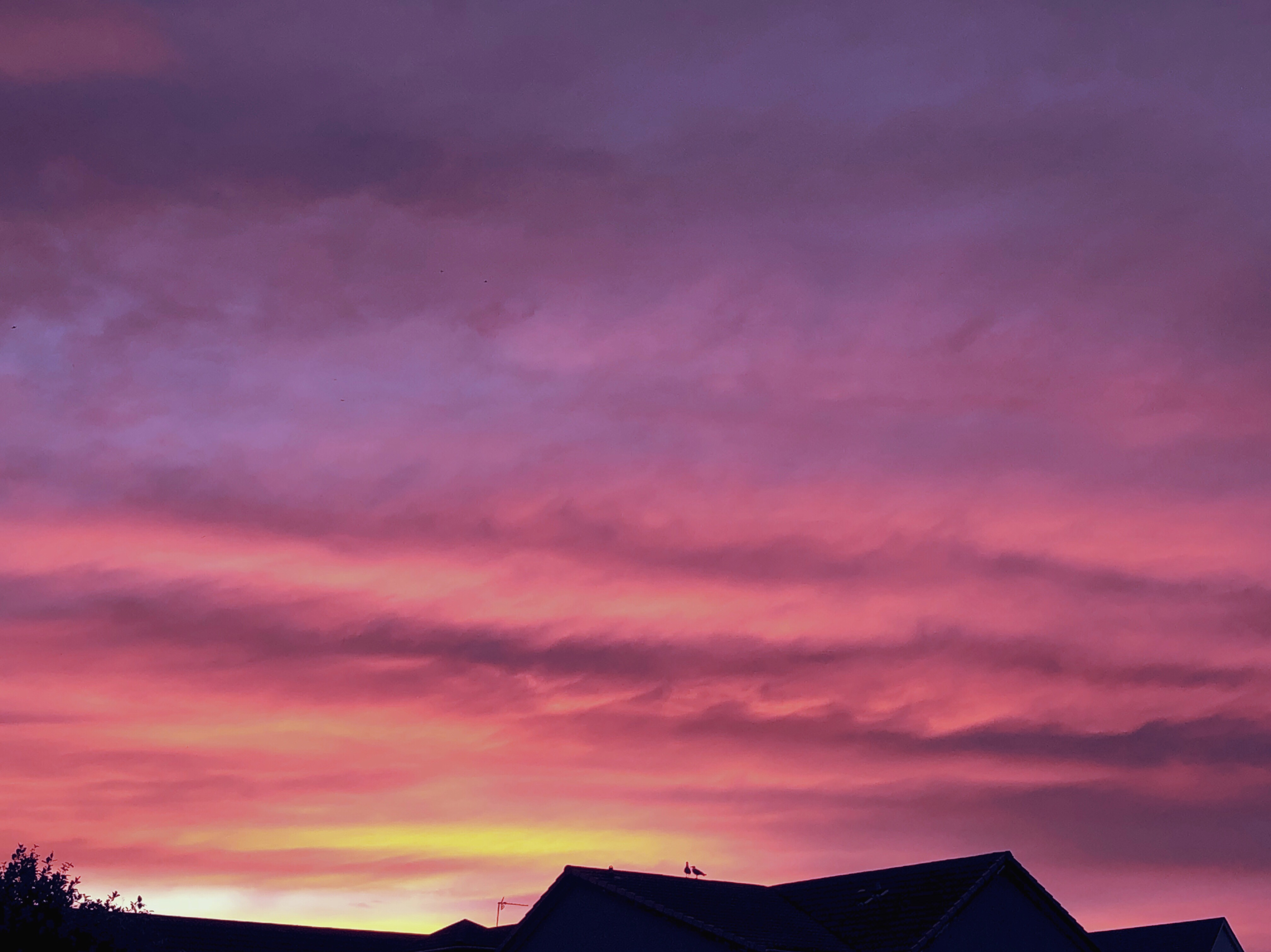 Sunset near Albany Park, St Andrews on 7 Aug.