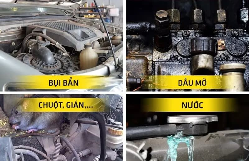Nguyên nhân khoang máy bị bẩn