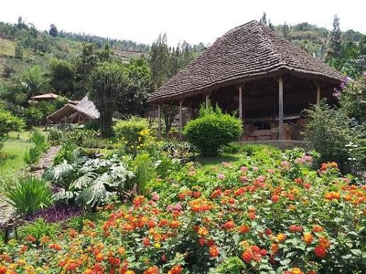 Aha ni ho abagenzi bakunze gucumbika muri Rubavu: Amahoteri 5 yagaragaje amanota photo