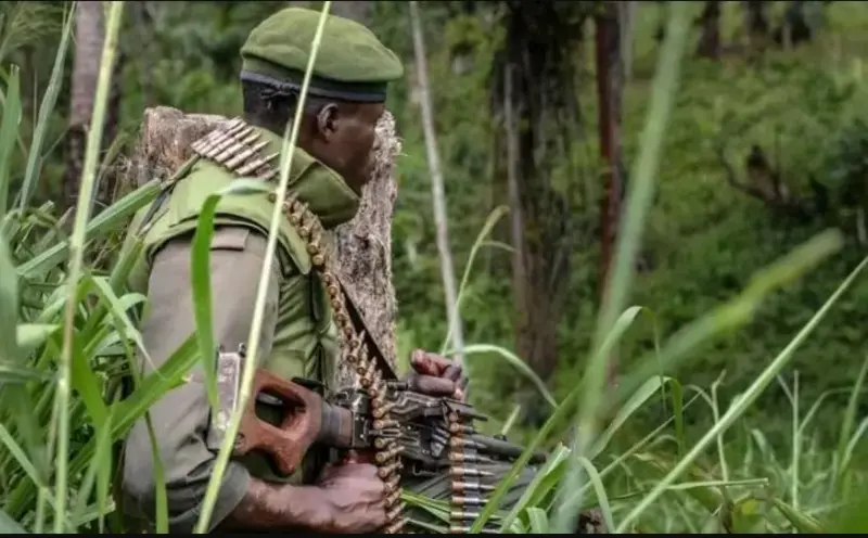 Imishyikirano ya RDC n’u Rwanda i Genève igiye kugerageza amasezerano y’amahoro photo 2