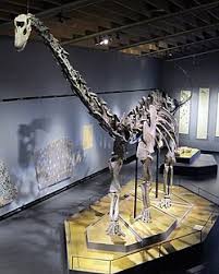 Dinosaur nini cyane yageze ite i Burayi? Ibisigazwa bishya biratanga igisubizo photo 2