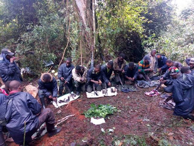 Nyuma ya FDLR, RDC yitabaje indi mitwe 2 irwanya ubutegetsi bw’u Rwanda mu ntambara irwana na AFC/M23