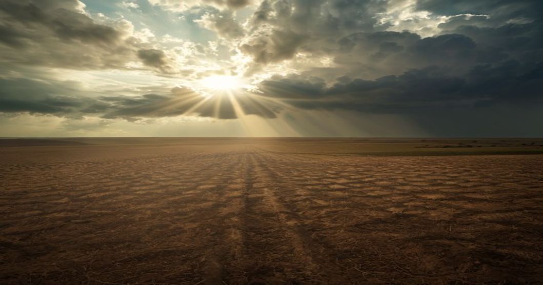 India's Burning Future: A Climate Emergency Unfolds