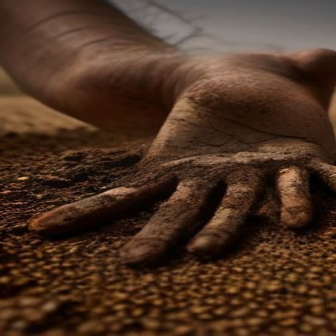 Beneath the Surface: Climate's Toll on Indo-Gangetic Soil