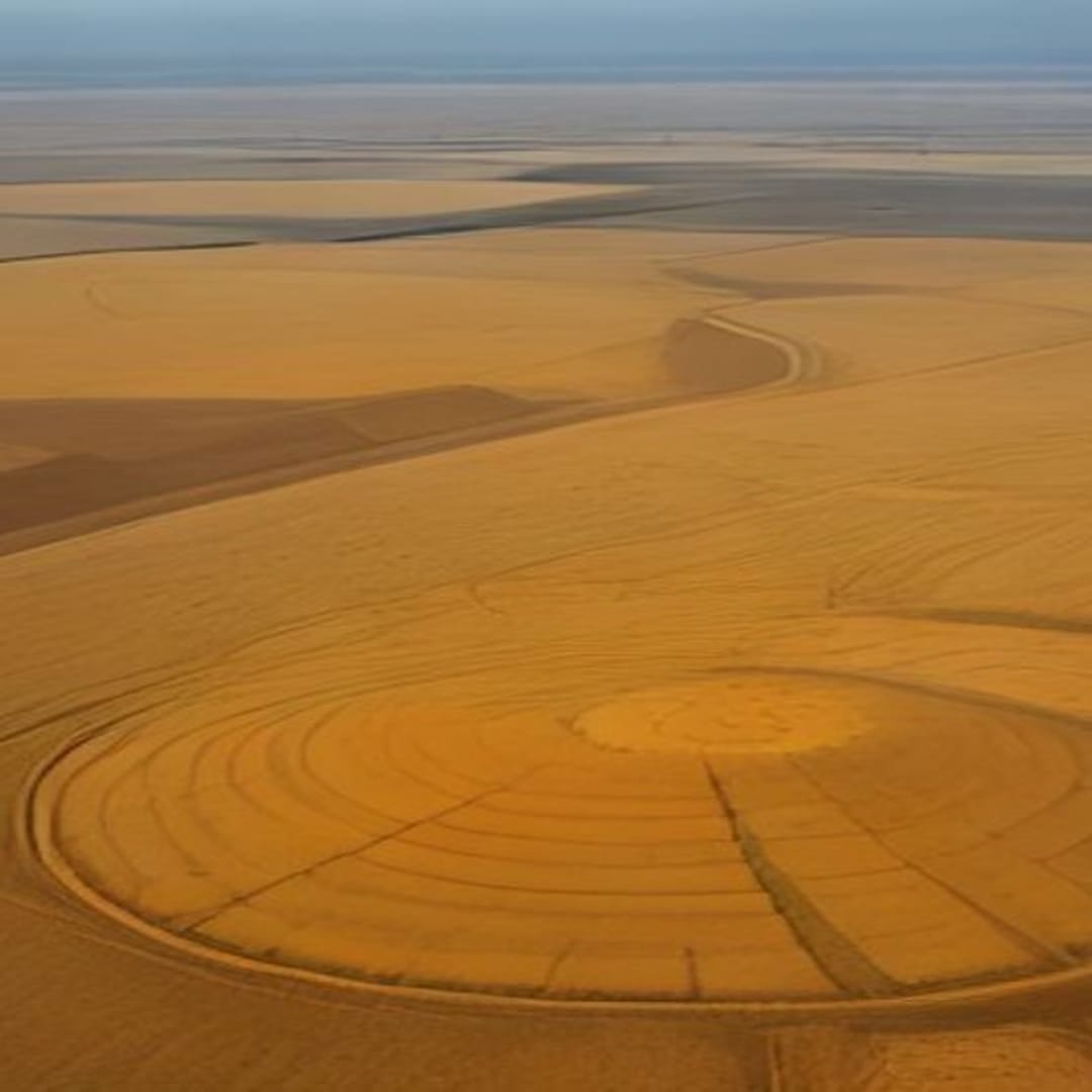 Punjab's Aquifer Abyss: Climate's Thirsty Grip on India's Granary