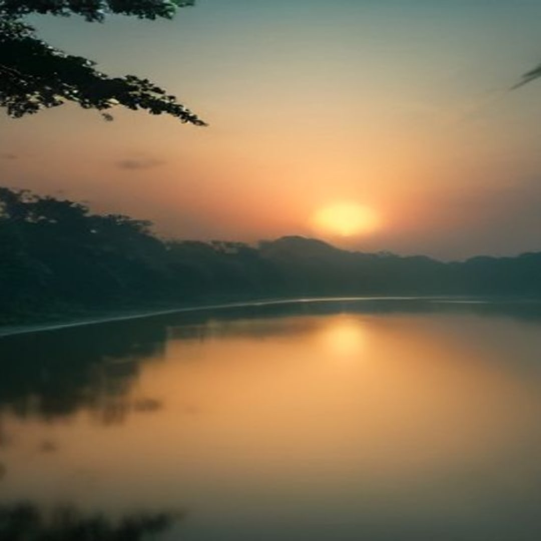 Sundarbans' Salt & Shadow: Climate's Chokehold on a Unique Ecosystem
