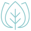 Plant-powered formulas 
